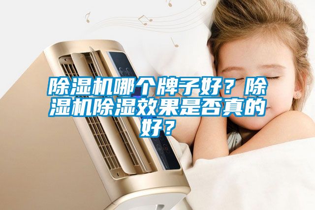 除濕機哪個牌子好？除濕機除濕效果是否真的好？