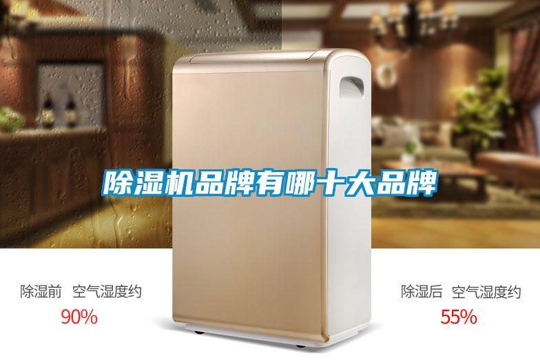 除濕機品牌有哪十大品牌