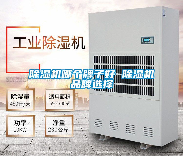 除濕機哪個牌子好 除濕機品牌選擇