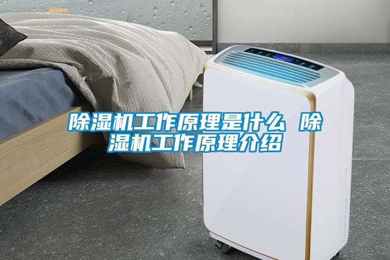 除濕機工作原理是什么 除濕機工作原理介紹