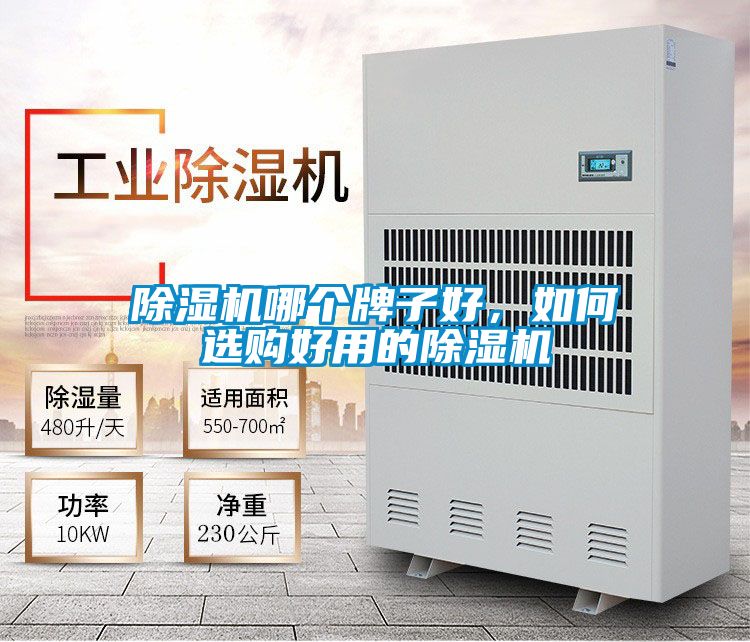 除濕機哪個牌子好，如何選購好用的除濕機