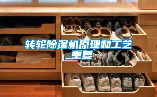 轉輪除濕機原理和工藝_重復