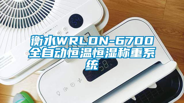 衡水WRLDN-6700全自動恒溫恒濕稱重系統