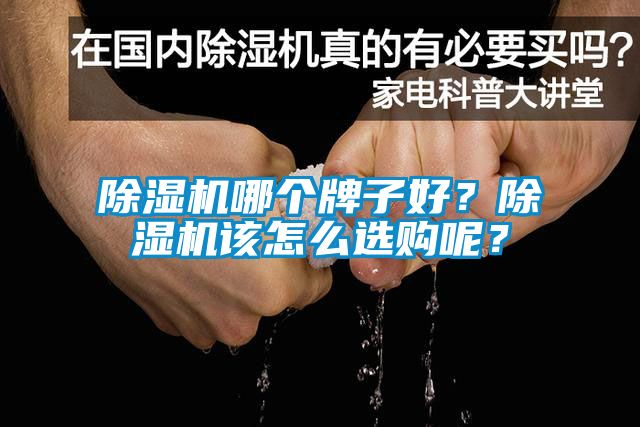 除濕機哪個牌子好？除濕機該怎么選購呢？