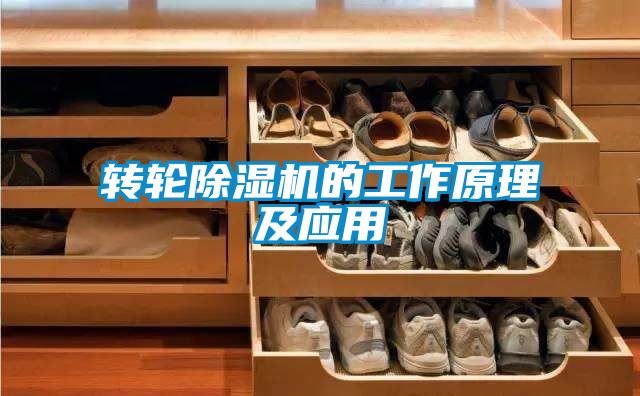 轉(zhuǎn)輪除濕機(jī)的工作原理及應(yīng)用