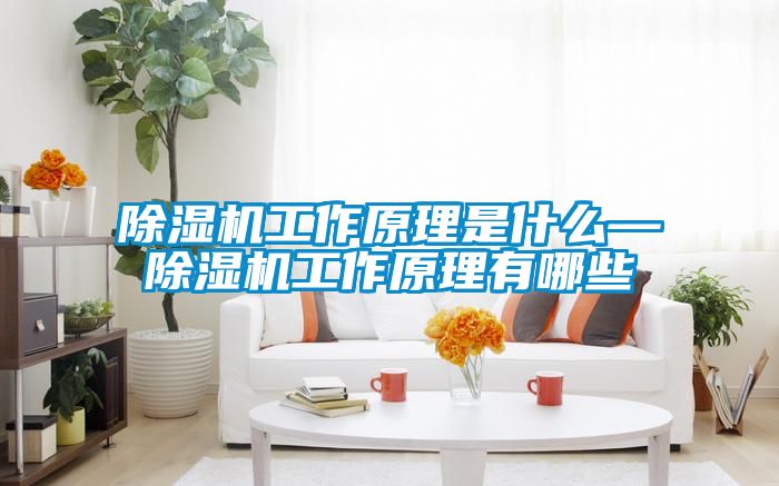 除濕機工作原理是什么—除濕機工作原理有哪些