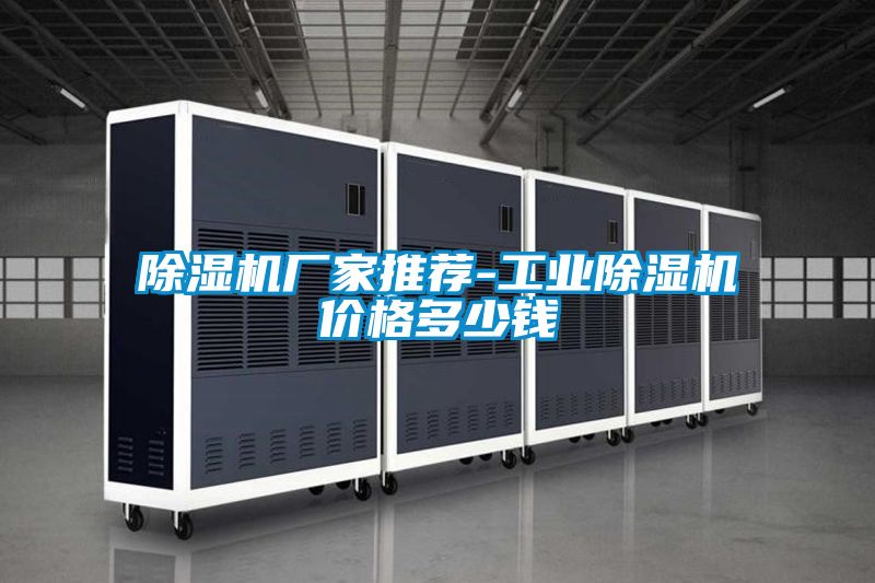 除濕機(jī)廠(chǎng)家推薦-工業(yè)除濕機(jī)價(jià)格多少錢(qián)