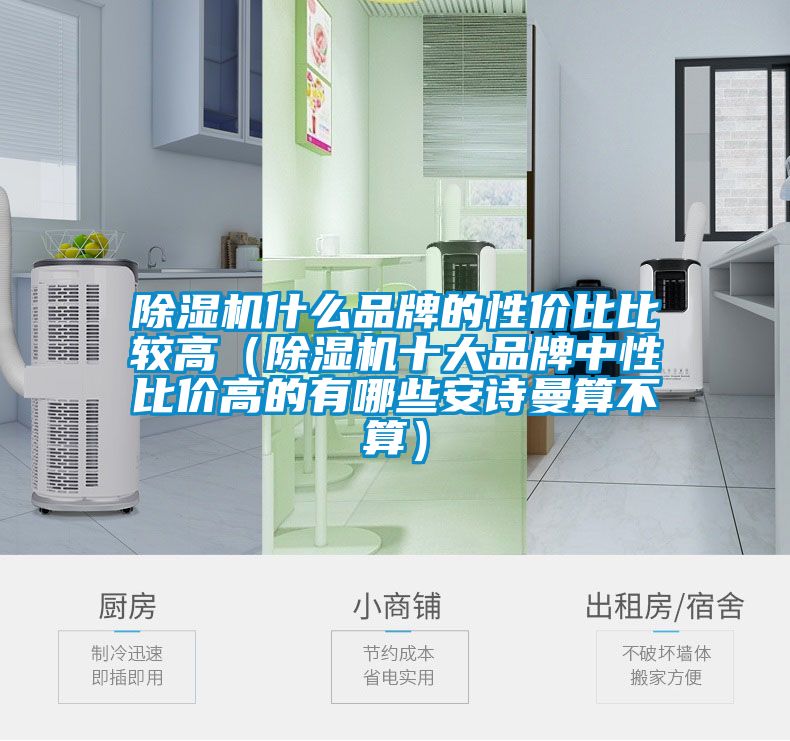 除濕機什么品牌的性價比比較高(除濕機十大品牌中性比價高的有哪些安詩曼算不算)