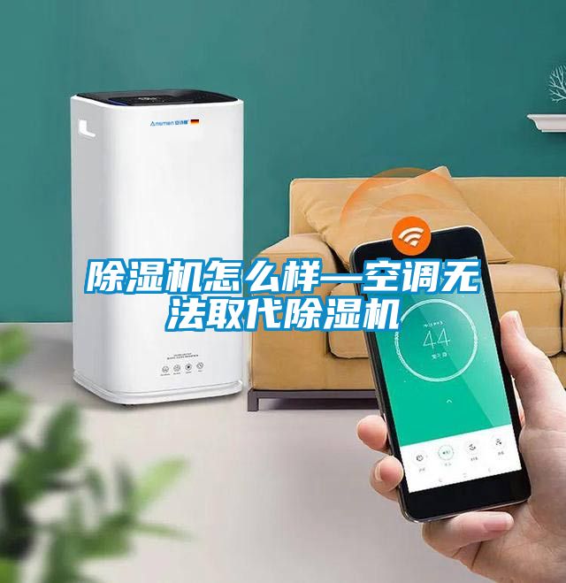 除濕機怎么樣—空調無法取代除濕機