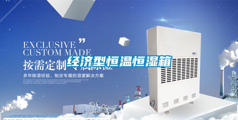 經濟型恒溫恒濕箱