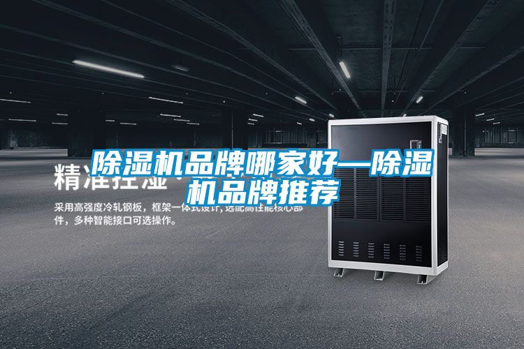除濕機品牌哪家好—除濕機品牌推薦