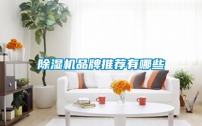 除濕機品牌推薦有哪些