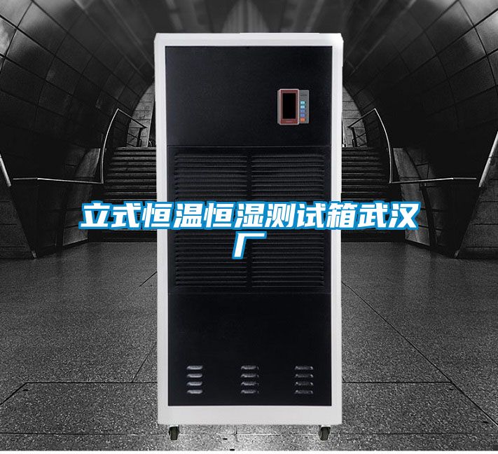 立式恒溫恒濕測試箱武漢廠