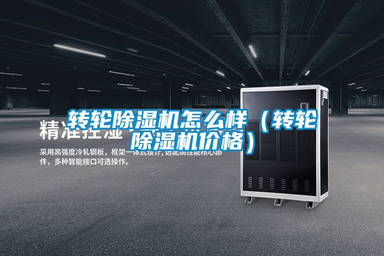 轉(zhuǎn)輪除濕機怎么樣（轉(zhuǎn)輪除濕機價格）