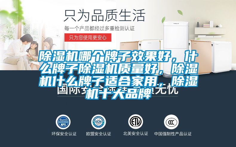 除濕機哪個牌子效果好，什么牌子除濕機質量好，除濕機什么牌子適合家用，除濕機十大品牌