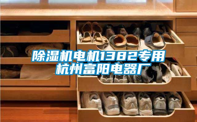 除濕機電機1382專用 杭州富陽電器廠