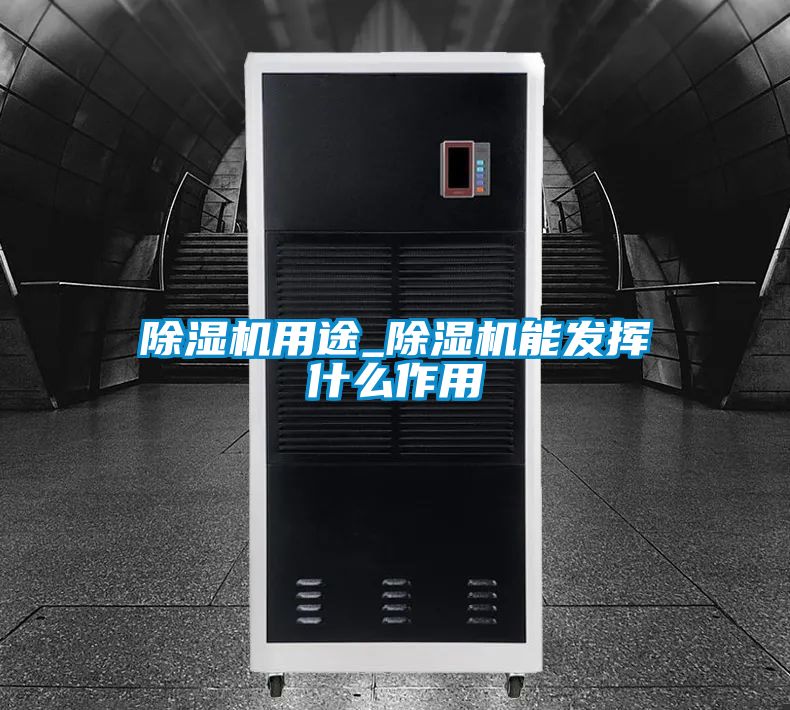 除濕機用途_除濕機能發揮什么作用