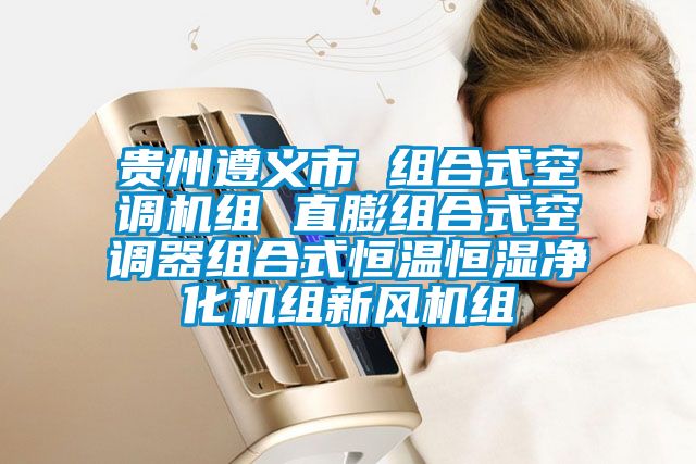 貴州遵義市 組合式空調機組 直膨組合式空調器組合式恒溫恒濕凈化機組新風機組