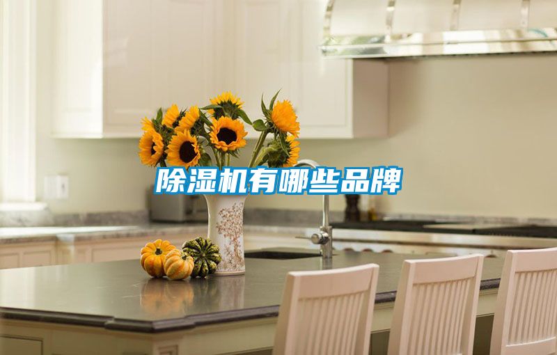 除濕機有哪些品牌