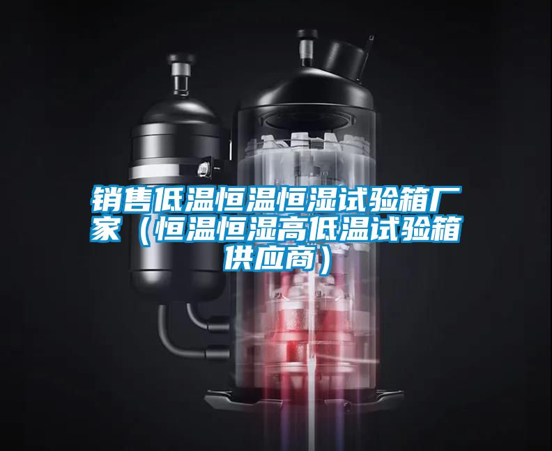 銷售低溫恒溫恒濕試驗箱廠家（恒溫恒濕高低溫試驗箱供應商）