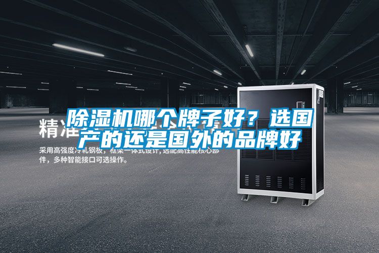 除濕機哪個牌子好？選國產的還是國外的品牌好