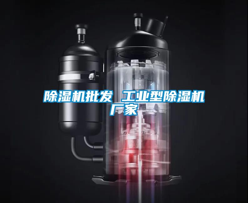 除濕機批發(fā) 工業(yè)型除濕機廠家