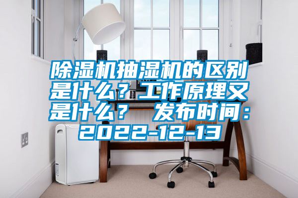 除濕機抽濕機的區別是什么？工作原理又是什么？ 發布時間：2022-12-13