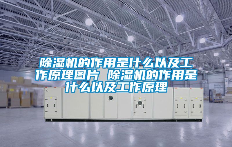 除濕機的作用是什么以及工作原理圖片 除濕機的作用是什么以及工作原理