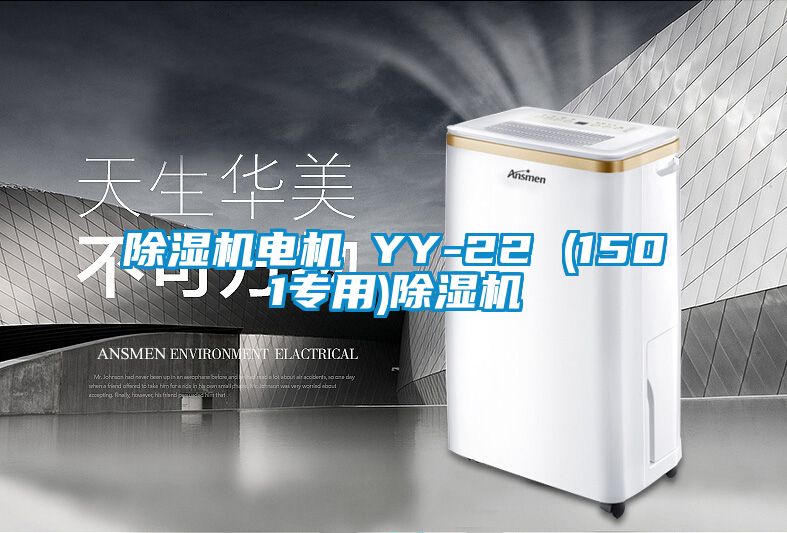 除濕機電機 YY-22 (1501專用)除濕機