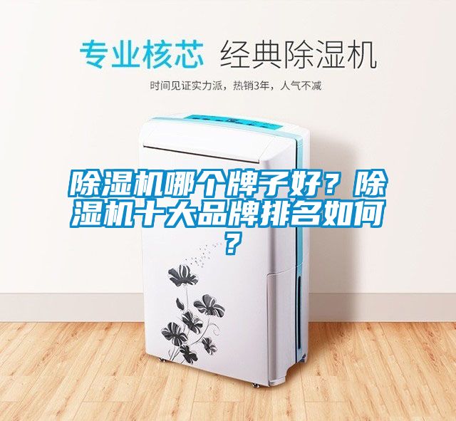 除濕機哪個牌子好？除濕機十大品牌排名如何？