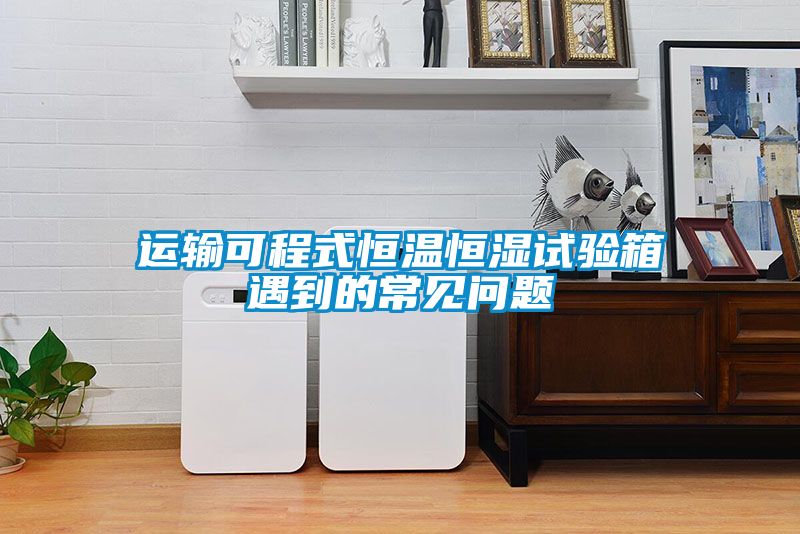 運(yùn)輸可程式恒溫恒濕試驗(yàn)箱遇到的常見(jiàn)問(wèn)題