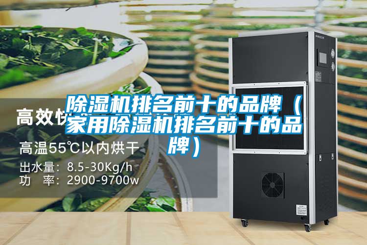 除濕機排名前十的品牌(家用除濕機排名前十的品牌)