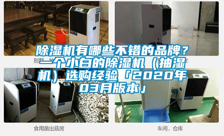 除濕機有哪些不錯的品牌?一個小白的除濕機(抽濕機)選購經驗「2020年03月版本」