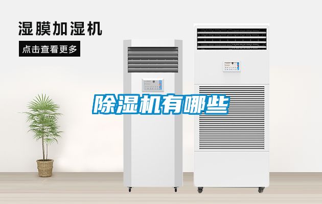除濕機(jī)有哪些