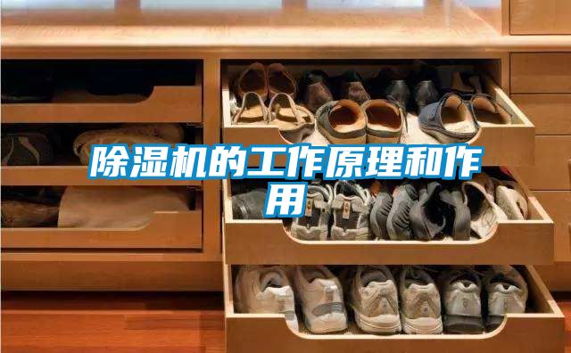 除濕機的工作原理和作用