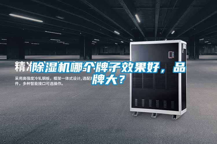 除濕機哪個牌子效果好,品牌大?