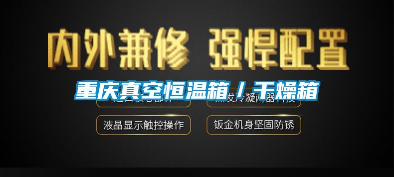重慶真空恒溫箱／干燥箱