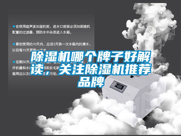 除濕機哪個牌子好解讀,關注除濕機推薦品牌