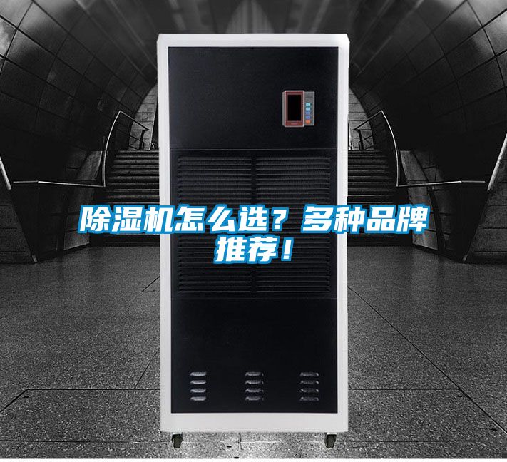 除濕機怎么選？多種品牌推薦！
