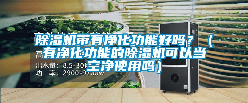 除濕機帶有凈化功能好嗎？（有凈化功能的除濕機可以當空凈使用嗎）