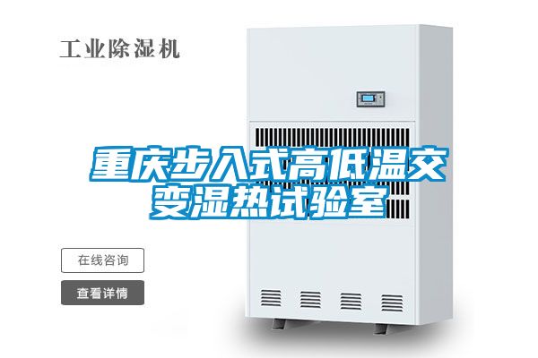 重慶步入式高低溫交變濕熱試驗室