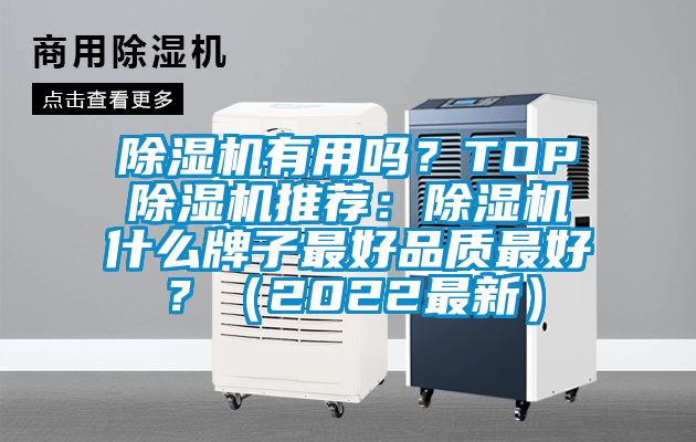 除濕機有用嗎？TOP除濕機推薦：除濕機什么牌子最好品質最好？（2022最新）