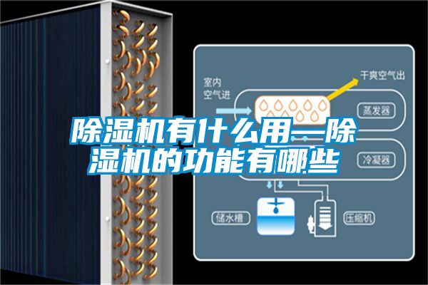 除濕機有什么用—除濕機的功能有哪些