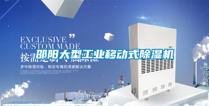 邵陽大型工業移動式除濕機