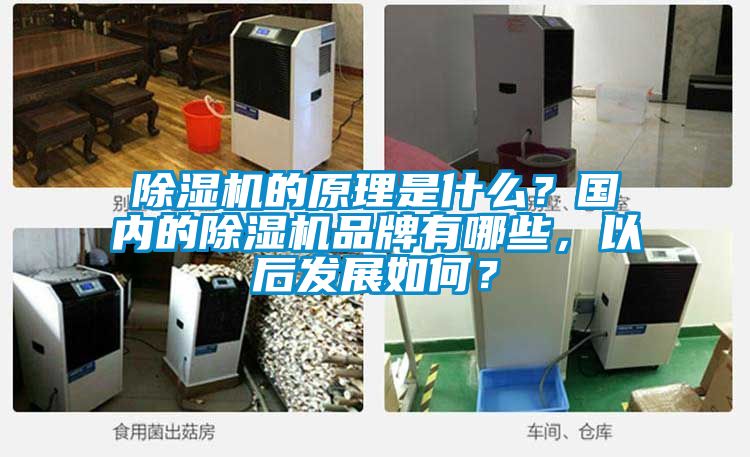 除濕機的原理是什么？國內的除濕機品牌有哪些，以后發展如何？