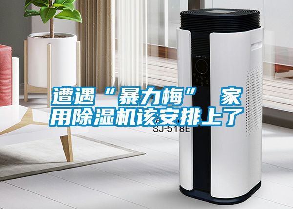 遭遇“暴力梅” 家用除濕機該安排上了