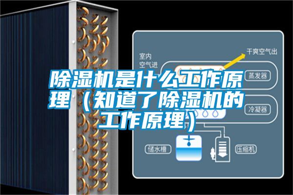 除濕機是什么工作原理(知道了除濕機的工作原理)