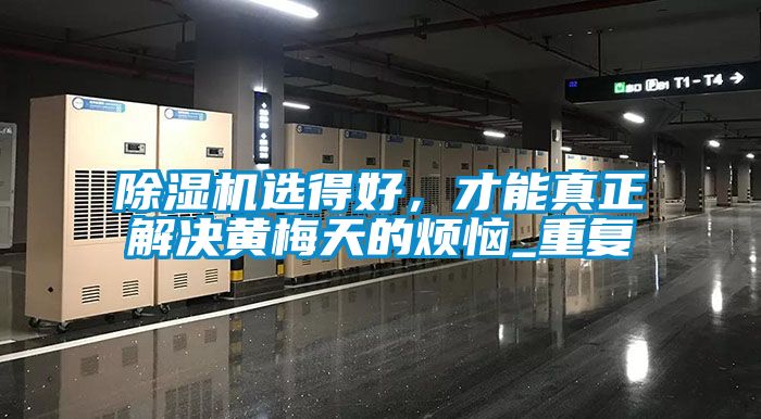 除濕機選得好，才能真正解決黃梅天的煩惱_重復