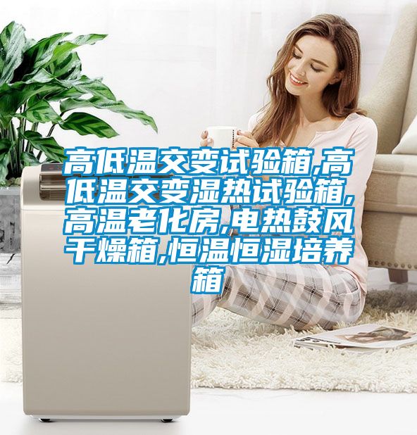高低溫交變試驗箱,高低溫交變濕熱試驗箱,高溫老化房,電熱鼓風(fēng)干燥箱,恒溫恒濕培養(yǎng)箱