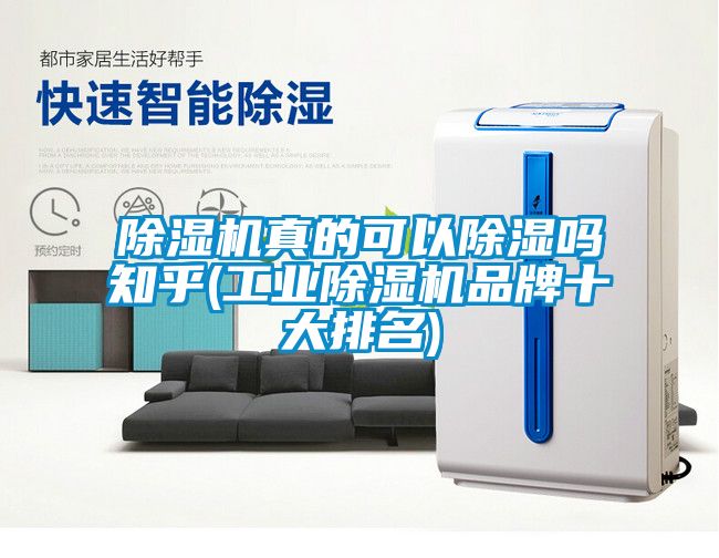 除濕機真的可以除濕嗎知乎(工業(yè)除濕機品牌十大排名)